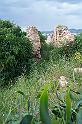 Carthage - Oued Lill 100_6351
